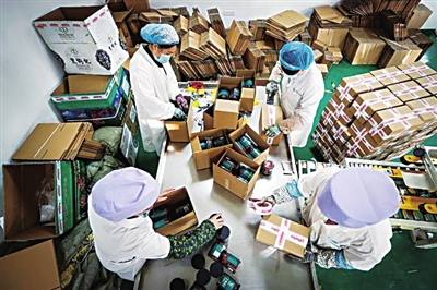 閩寧禾美電商扶貧車間的女員工在包裝枸杞。資料圖片