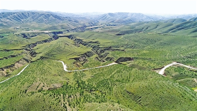 <p>　　昔日荒山披綠裝。</p>