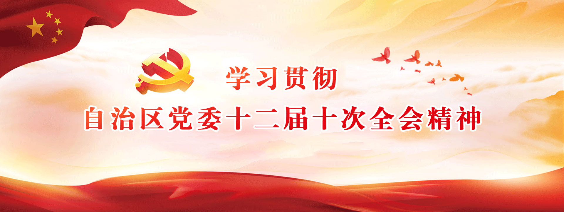 學(xué)習(xí)貫徹自治區(qū)黨委十二屆十次全會(huì)精神