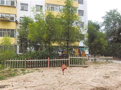 9號樓前小區(qū)綠地空置，被居民圍起柵欄圈占種菜。 本報記者    張艷麗    攝