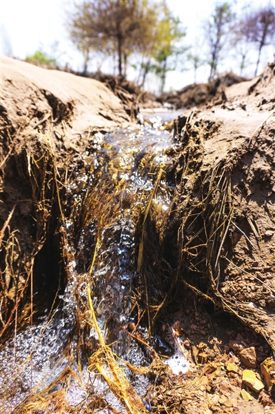     積水形成的沼澤四處可見汪汪流水。