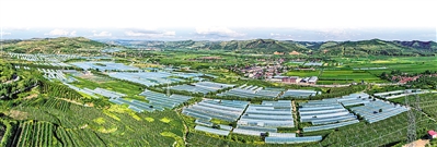     沿河谷川道區(qū)打造冷涼蔬菜產(chǎn)業(yè)帶。