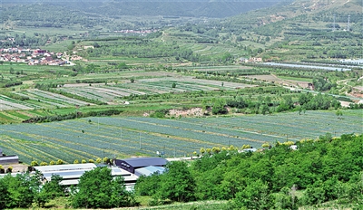     農(nóng)田與山川構成一幅鄉(xiāng)村振興畫卷。