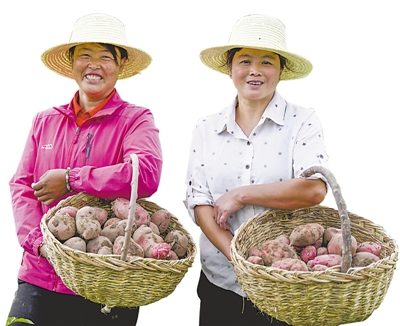 <p>　　去年夏天，在西吉縣紅耀鄉(xiāng)井灣村馬鈴薯種植基地，村民提著剛挖出來(lái)的馬鈴薯，臉上洋溢著幸福的笑容。西吉縣是“中國(guó)馬鈴薯之鄉(xiāng)”，全縣農(nóng)民三分之一以上的收入來(lái)源于馬鈴薯，馬鈴薯已成為農(nóng)民致富的“金蛋蛋”?！　”緢?bào)記者　黨碩　攝</p>