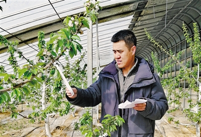 <p><span>　　人物檔案</span></p><br/><p><span><br/><span>　　楊青，永寧縣閩寧鎮(zhèn)黨委副書記、閩寧鎮(zhèn)原隆村黨支部書記</span></span></p><br/><p>　　2018年11月，我被組織安排到閩寧鎮(zhèn)工作，這也讓我有幸見證并參與了閩寧協(xié)作。在閩寧鎮(zhèn)的幾年里，我與福建援寧工作者和閩寧鎮(zhèn)干部群眾攜手攻堅(jiān)克難，決戰(zhàn)決勝全面建成小康社會(huì)、推進(jìn)鄉(xiāng)村全面振興，我們共同取得了全國(guó)脫貧攻堅(jiān)楷模、時(shí)代楷模等榮譽(yù)稱號(hào)。</p><br/><p>　　目前閩寧鎮(zhèn)基礎(chǔ)設(shè)施完善，村容村貌整潔，移民群眾團(tuán)結(jié)和睦，社會(huì)和諧穩(wěn)定，“村村有產(chǎn)業(yè)、戶戶能致富”，移民人均可支配收入由最初的500元提升到現(xiàn)在的16098元，昔日杳無人煙的“干沙灘”變成百姓富裕的“金沙灘”，移民群眾的獲得感、幸福感、安全感全面提升，大家感恩我們偉大的黨、感謝我們的總書記。</p><br/><p>　　這次全國(guó)兩會(huì)，我希望代表委員帶去我們的心聲：從政策上聚焦“民富、業(yè)興、人旺、宜居”，推動(dòng)閩寧鎮(zhèn)產(chǎn)城人融合發(fā)展，讓閩寧對(duì)口扶貧協(xié)作為閩寧鎮(zhèn)移民群眾致富賦能添力，讓我們?cè)趯?shí)現(xiàn)共同富裕的康莊大道上，交出無愧于時(shí)代、無愧于人民的答卷。（本報(bào)記者　李錦　秦磊　張濤　文/圖）</p><br/><p></p>