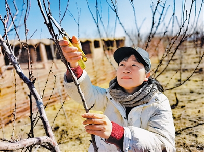 <p>　　人物檔案</p><br/><p>　　丁學(xué)林，同心縣鄉(xiāng)村振興局副局長(zhǎng)</p><br/><p>　　2016年，我參與到閩寧協(xié)作工作中，通過這幾年同心縣的發(fā)展變化，真正感受到了“閩寧一家親”不只是一句口號(hào)，而是一份真正的手足情。</p><br/><p>　　2021年是莆田市對(duì)口幫扶同心縣的第一年，莆田援寧干部全身心投入真抓實(shí)干，全面或超額完成兩省區(qū)確定的10項(xiàng)目標(biāo)任務(wù)。</p><br/><p>　　今年，我們將鞏固拓展脫貧攻堅(jiān)成果同鄉(xiāng)村振興有效銜接，在提升產(chǎn)業(yè)水平上持續(xù)發(fā)力，用好閩寧對(duì)口協(xié)作平臺(tái)，立足同心資源稟賦，圍繞“8+1”重點(diǎn)產(chǎn)業(yè)，持續(xù)在建鏈強(qiáng)鏈上下功夫。在深化勞務(wù)協(xié)作上行穩(wěn)致遠(yuǎn)，拓寬就業(yè)渠道，積極開展就業(yè)培訓(xùn)，提高培訓(xùn)針對(duì)性、實(shí)用性，切實(shí)提升就業(yè)率。堅(jiān)持優(yōu)勢(shì)互補(bǔ)，著重在產(chǎn)業(yè)發(fā)展、勞務(wù)協(xié)作、消費(fèi)幫扶、醫(yī)療教育等方面加強(qiáng)協(xié)作。脫貧摘帽不是終點(diǎn)，而是新生活、新奮斗的起點(diǎn)。閩寧之手，只會(huì)愈握愈緊！相信隨著協(xié)作方式的升級(jí)，“山海情”一定會(huì)有更加精彩的續(xù)集！</p><br/><p>　?。ū緢?bào)記者　馬忠　文/圖）</p><br/><p>　　人物檔案</p><br/><p>　　鄭開煌，寧夏閩強(qiáng)塑業(yè)有限公司負(fù)責(zé)人</p><br/><p>　　又到春暖花開時(shí)，春耕陸續(xù)開始，隆德縣的玉米、土豆和冷涼蔬菜種植都急需薄膜。目前，公司的10臺(tái)機(jī)器全部運(yùn)轉(zhuǎn)，每天生產(chǎn)20噸薄膜。</p><br/><p>　　2016年，我來到隆德縣工業(yè)園區(qū)投資創(chuàng)業(yè)，得益于閩寧協(xié)作、得益于寧夏經(jīng)濟(jì)社會(huì)的蓬勃發(fā)展，讓我能夠在這片土地上闖出一片屬于自己的天地。當(dāng)初選擇來隆德，既是響應(yīng)閩寧協(xié)作的號(hào)召，也想著把產(chǎn)業(yè)落戶到隆德，把技術(shù)帶給隆德百姓。經(jīng)過6年的發(fā)展，現(xiàn)在公司每個(gè)崗位的骨干都是隆德人，公司已經(jīng)徹底融入隆德的經(jīng)濟(jì)發(fā)展中。目前公司招聘了當(dāng)?shù)?2名工人，工人每月工資都在5000元以上。我熱愛這片土地，寧夏就是我的第二故鄉(xiāng)，我的家人都已定居隆德，3個(gè)孩子也在這里上學(xué)。</p><br/><p>　　作為一名閩寧協(xié)作企業(yè)負(fù)責(zé)人，促進(jìn)兩地協(xié)作、助力鄉(xiāng)村振興是我不變的初心，希望更多的福建企業(yè)家來到寧夏這片熱土投資創(chuàng)業(yè)。</p><br/><p>　?。ū緢?bào)記者　馬忠　文/圖）</p><br/><p>　　人物檔案</p><br/><p>　　陳振能（左），彭陽縣委常委、副縣長(zhǎng)（掛職）</p><br/><p>　　2021年7月，組織安排我到彭陽縣掛職工作，讓我有幸成為閩寧協(xié)作的一員，能夠在新發(fā)展階段推動(dòng)閩寧協(xié)作