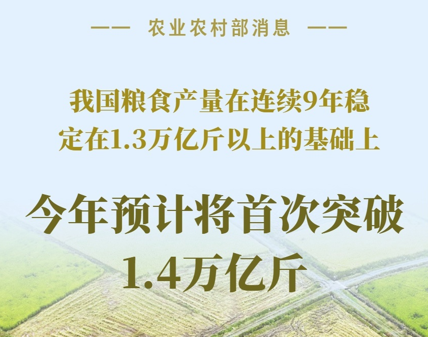 預計將首次突破1.4萬億斤！數(shù)據(jù)看“大國糧倉”的底氣