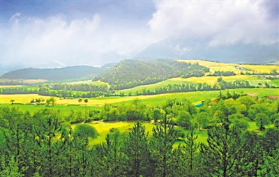 <p>　　　　槐樹林生態(tài)森林公園</p>