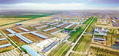 <p>　　利通區(qū)五里坡奶牛養(yǎng)殖基地。</p>