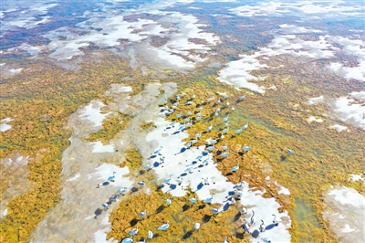 <p>　　鹽池縣花馬湖濕地的天鵝?！D片由自治區(qū)林草局提供</p>