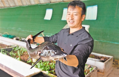 <p>　　村民抱著自家養(yǎng)殖的鱘龍魚面露喜色。</p>