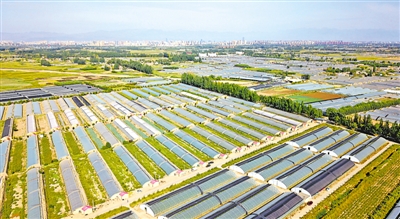<p>　　五渡橋村主抓設(shè)施蔬菜產(chǎn)業(yè)，建有二代溫棚44000余間，園區(qū)年產(chǎn)值近9000萬元，成為農(nóng)民增產(chǎn)增收的主要途徑。</p>