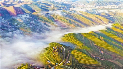 <p>　　綠水青山魅力愈顯。</p>