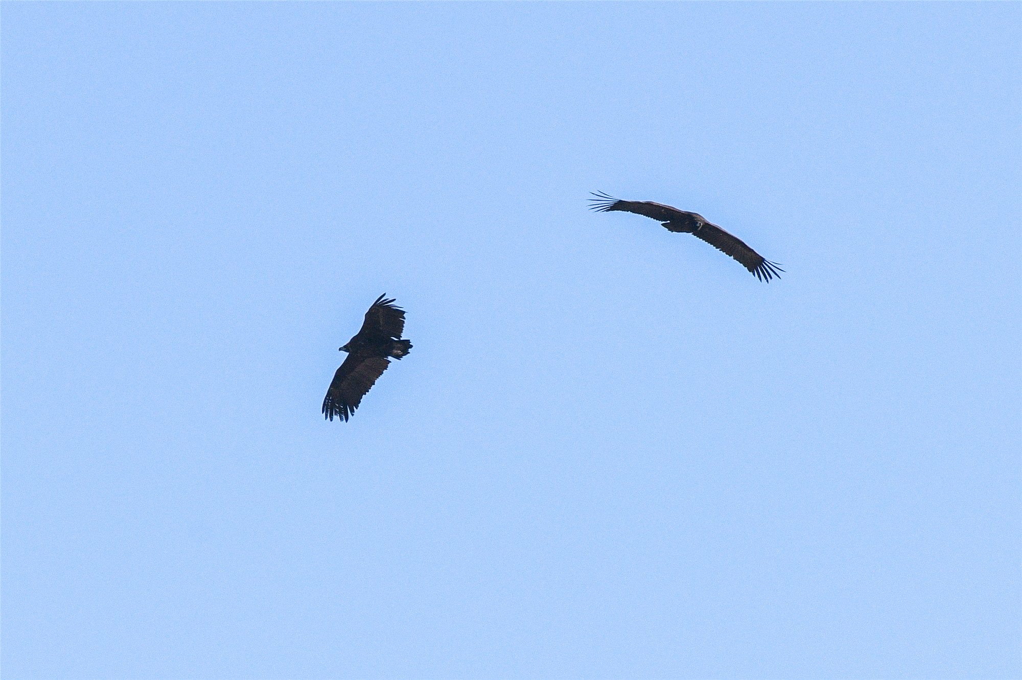 DSC_3424.jpg