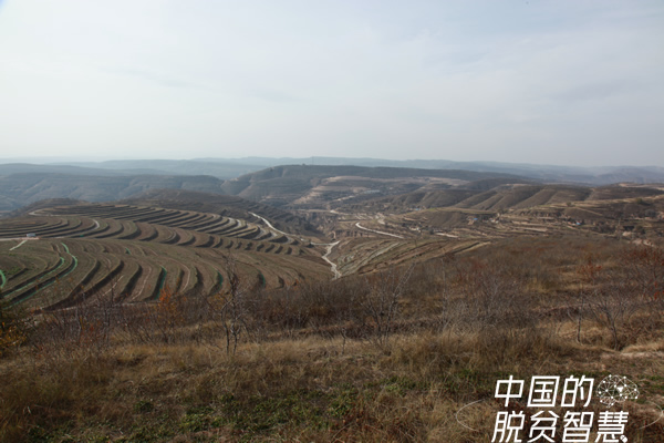 冬日彭陽(yáng)1.jpg