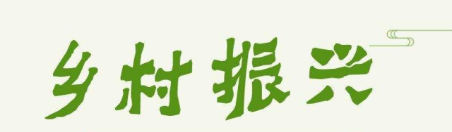 頭閘鎮(zhèn)按下種業(yè)升級(jí)“快進(jìn)鍵” 解鎖農(nóng)旅融合“新副本”