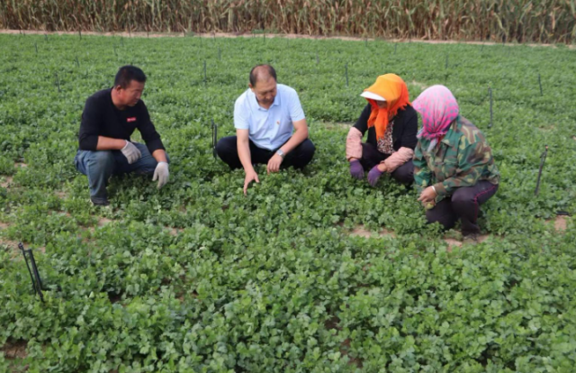 【勞動(dòng)者之歌】全國(guó)勞模蔣洪波：讓農(nóng)民成為令人羨慕的職業(yè)