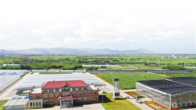 <p>　　寧夏泰金種業(yè)有限公司制種基地。（本版圖片均平羅縣委宣傳部提供）</p>