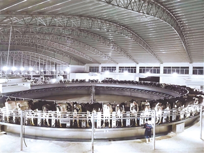 <p>　　平羅縣紅崖子奶牛養(yǎng)殖基地。</p>