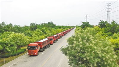 <p>　　運(yùn)輸車輛排成行。</p>