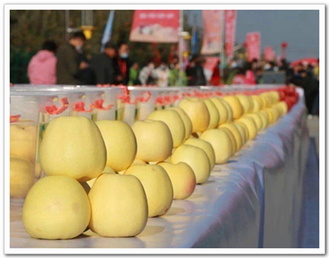 微信圖片_20201018200231.jpg