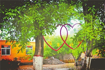 <p>　　龍泉村百年核桃樹</p>