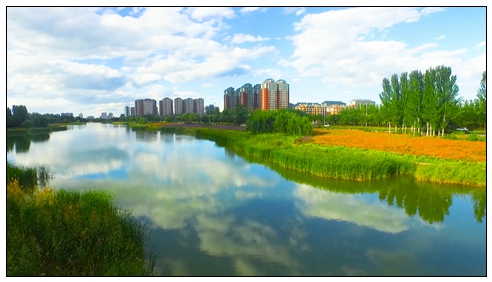 典農(nóng)河.jpg