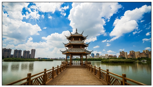金鳳大景 (1).jpg