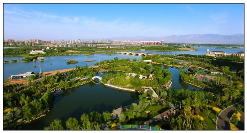 金鳳大景 (9).jpg
