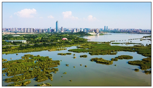 金鳳大景 (6).jpg