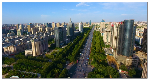 金鳳大景 (10).jpg