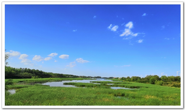 A07    黃河國家濕地公園1.jpg