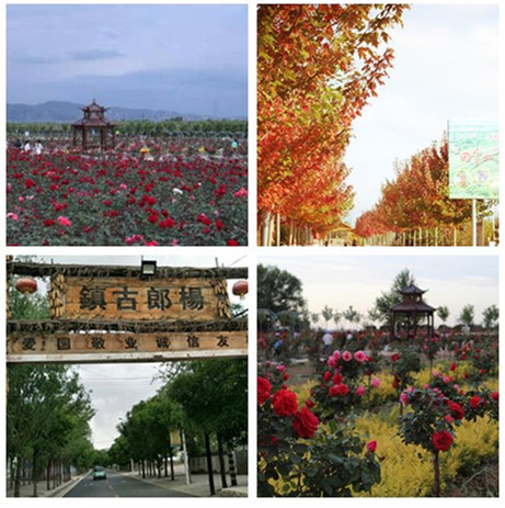 initpintu_副本.jpg