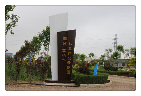 “四個(gè)一”試驗(yàn)示范園1.jpg