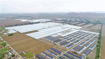 <p>　　中寧縣石空鎮(zhèn)“跨村聯(lián)建”，動員7個集體經濟薄弱村共建拱棚項目，壯大村集體經濟。本報記者　王曉龍　攝　　</p>