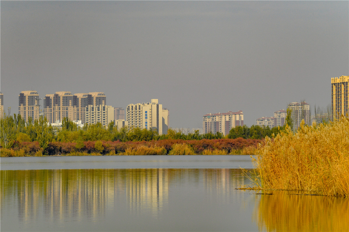 QYT_7640.jpg