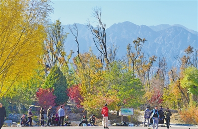 <p>　　空氣質(zhì)量日益改善，周末人們匯聚在賀蘭山下觀景。</p>