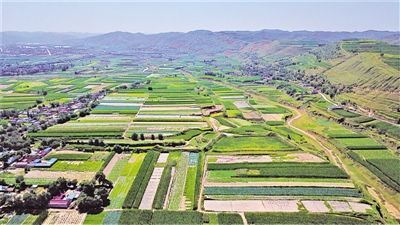 <p>　　火集村蔬菜種植基地。</p>