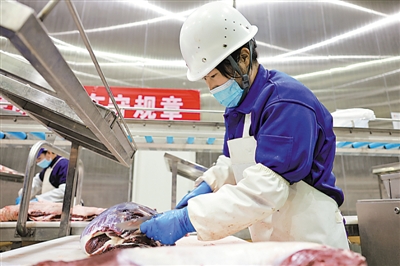 <p>　　海原縣海潤肉類食品有限公司屠宰場，工人在流水線上分割處理牛肉。</p>