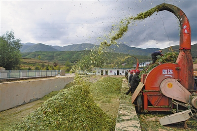 <p>　　涇源縣大灣鄉(xiāng)楊嶺村，村民在加工儲存青貯飼料。</p>