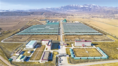 <p>　　海原縣標準化、規(guī)?；馀ｐB(yǎng)殖基地。</p>