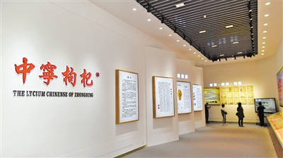 <p>　　寧夏大學(xué)枸杞職業(yè)技術(shù)繼續(xù)教育學(xué)院枸杞文化長(zhǎng)廊展示枸杞歷史文化。依托院校資源，中寧縣大力培養(yǎng)枸杞苗木繁育、電子商務(wù)、冷鏈倉(cāng)儲(chǔ)、科技推廣等方面的專業(yè)技術(shù)人才。　　　　　　　　　　　　　　　　　　　　　　　　　　　　　　　　　　　　　　　　　　　　　　本報(bào)記者　王鼎　攝</p>