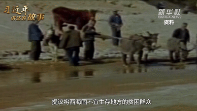 2.gif