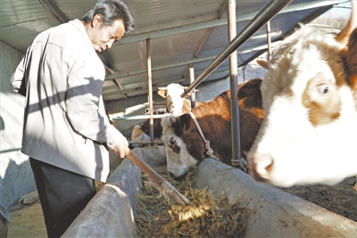 <p>　　有水就敢大膽發(fā)展養(yǎng)殖產(chǎn)業(yè)。</p>