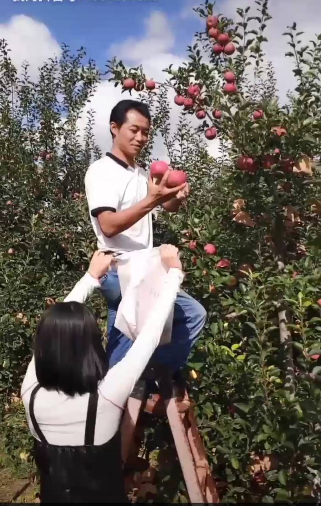 27、馬科.jpg