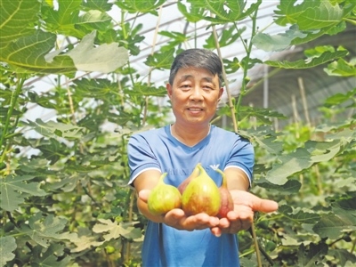 <p>　　蜜瓜、無花果、奶牛養(yǎng)殖……月牙湖鄉(xiāng)抓住產(chǎn)業(yè)扶貧這個關(guān)鍵詞，推進一二三產(chǎn)業(yè)融合發(fā)展。</p>