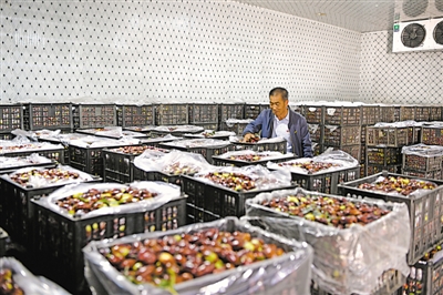 <p>　　郝家橋鎮(zhèn)團結村新建的冷庫，可使長棗保鮮期延長一個月。</p>