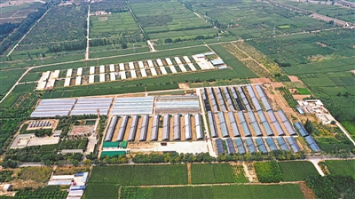 <p>　　新堡鎮(zhèn)“跨村聯(lián)建”。</p>