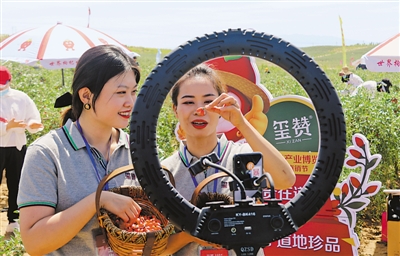 <p>　　中寧入列全國電子商務(wù)進(jìn)農(nóng)村綜合示范縣。</p>