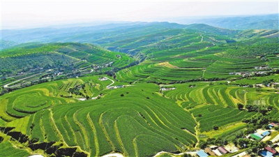 <p>　　彭陽縣青云灣流域。</p>